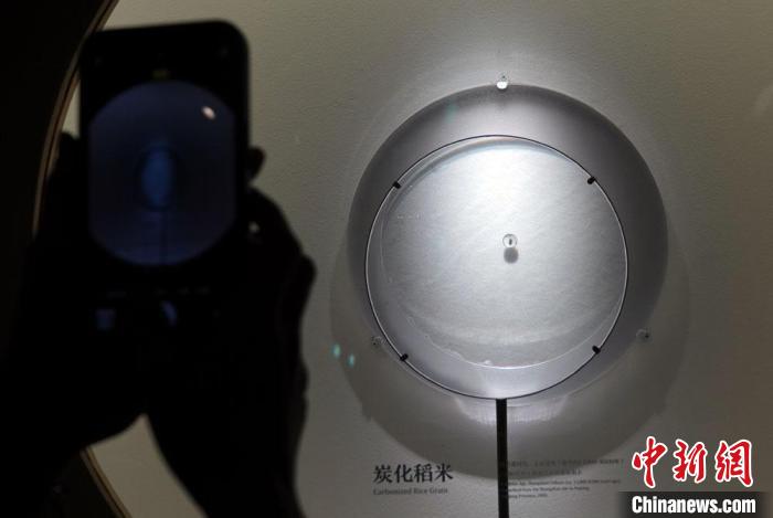观众拍摄国博展出的新石器时代·碳化稻米遗存(距今约11000-8500年)。 <a target='_blank' data-cke-saved-href='/' href='/'><p align=