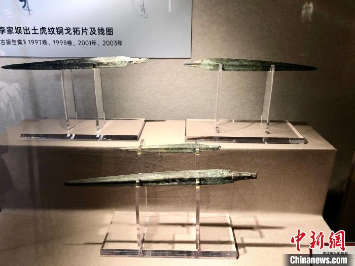 图为战国虎纹柳叶形铜剑。 钟旖 摄