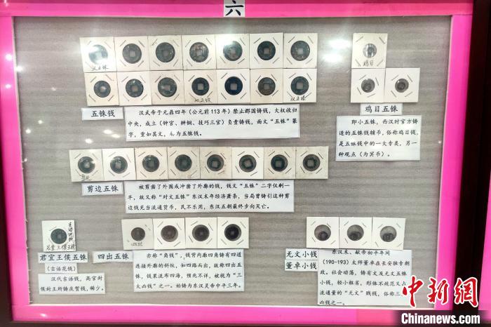 陈清雄将收藏的古币按照朝代一一整理。 吴冠标 摄